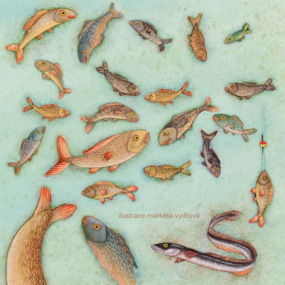 ilustrace 0.0 rybky RYBÁŘI A HASTRMANI