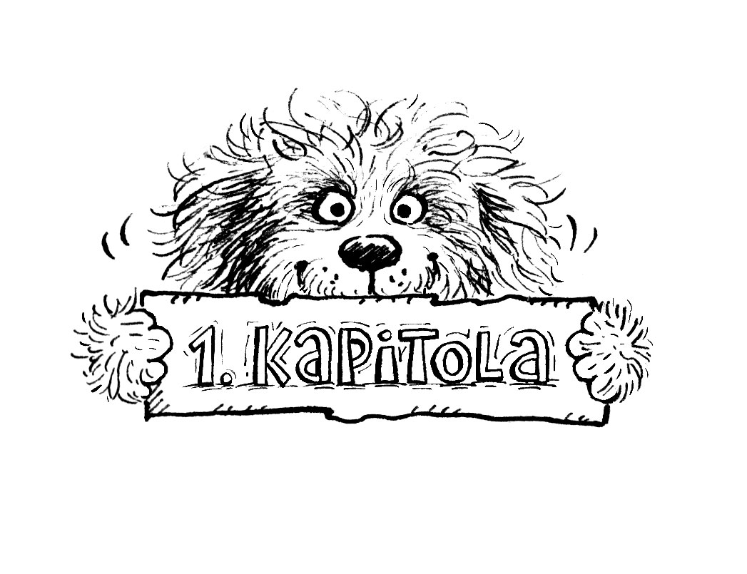 1.KAPITOLA_nahled