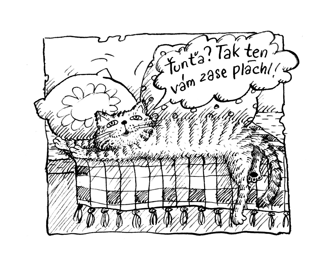 ILUSTRACE_25