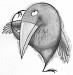 ilustrace 44 legrační pták